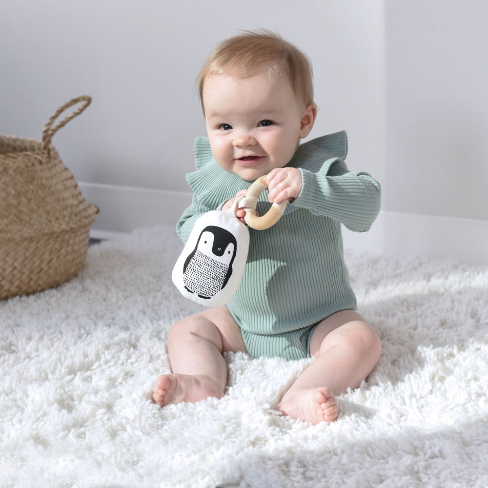 Organic Animals Teether