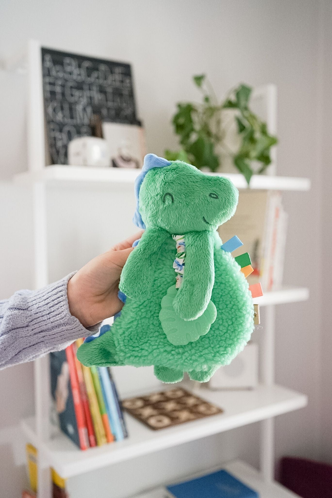 Itzy Lovey Plush & Teether Toy - aROARable Friends