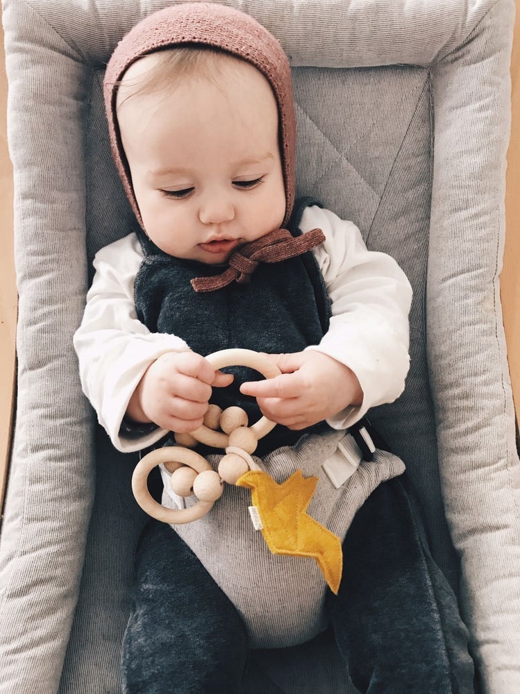 Bird Rattle