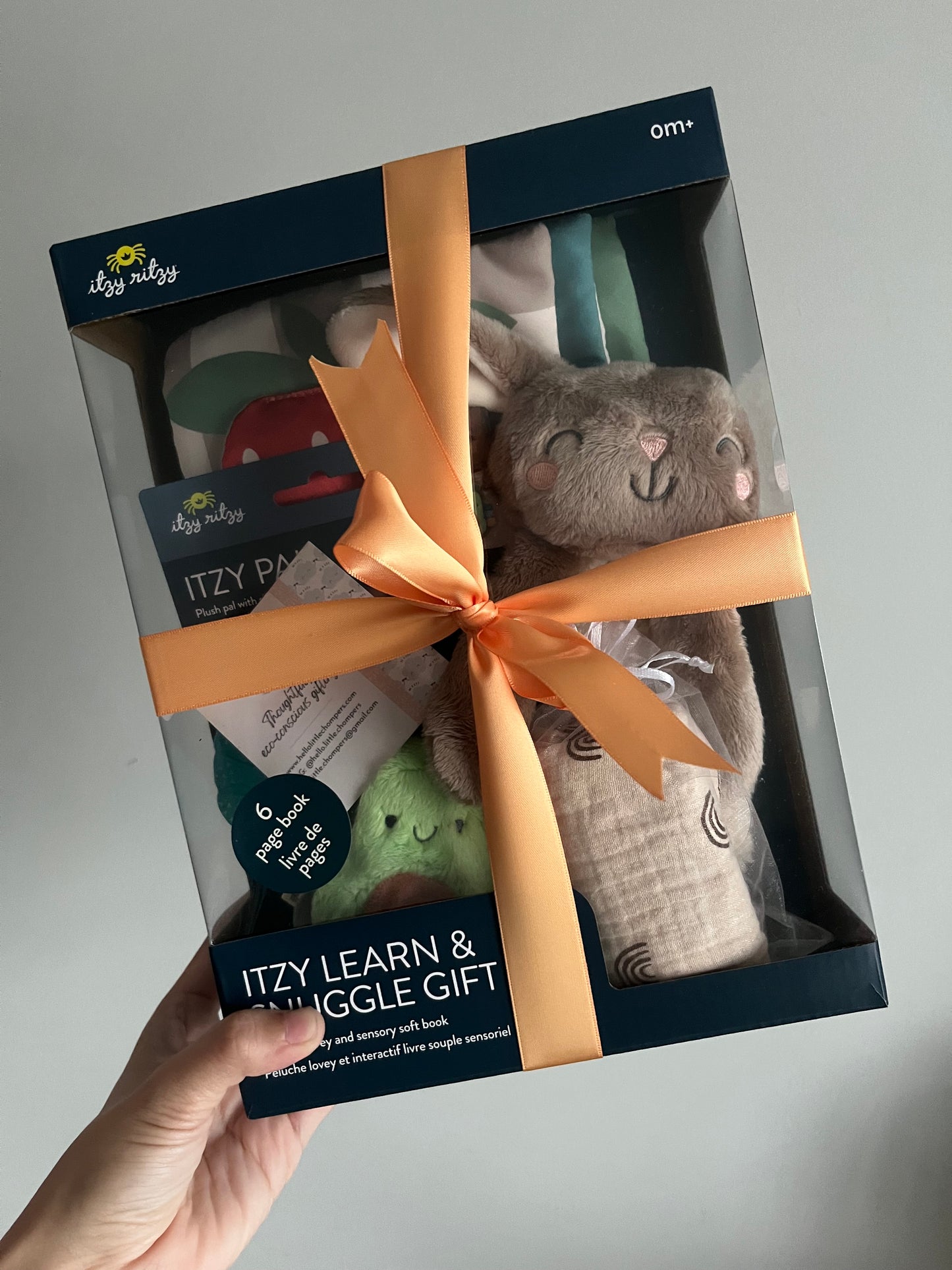 Itzy Learn & Snuggle Gift Set (Add-on options available)