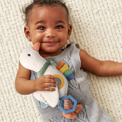 Gracie Goose Traveler™ Developmental Sensory Toy