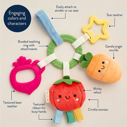 Veggies Bitzy Busy Ring™ Teething Activity Toy