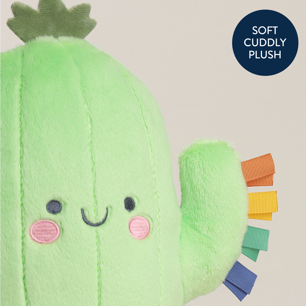 Cooper Cactus Sweetie Snuggles Plush
