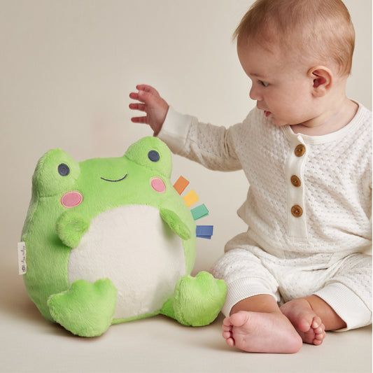 Freddie Frog Sweetie Snuggles Plush