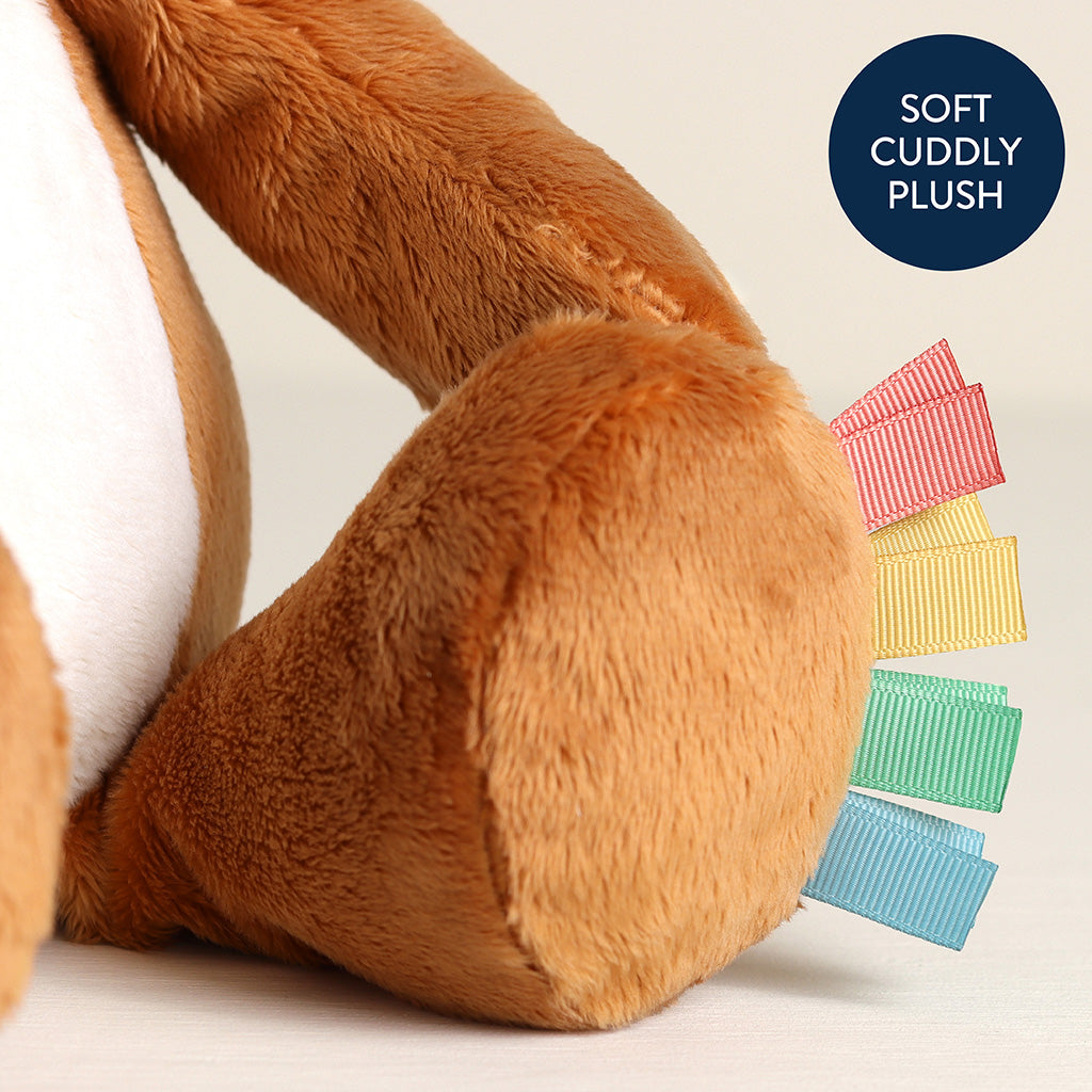 Alex the Fox Sweetie Snuggles Plush