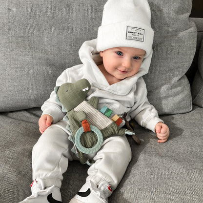 Dino Bitzy Crinkle™ Sensory Crinkle Toy with Teether