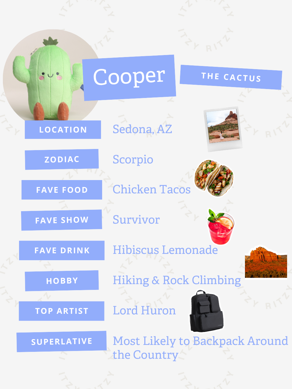 Cooper Cactus Sweetie Snuggles Plush