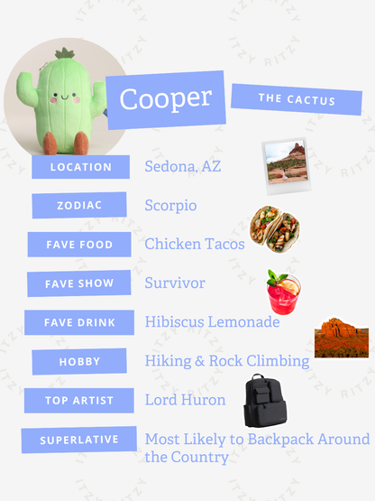 Cooper Cactus Sweetie Snuggles Plush