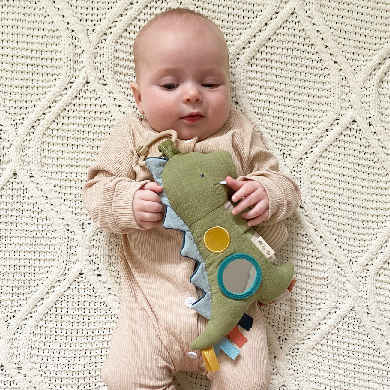 Dino Bitzy Traveler™ Developmental Sensory Toy