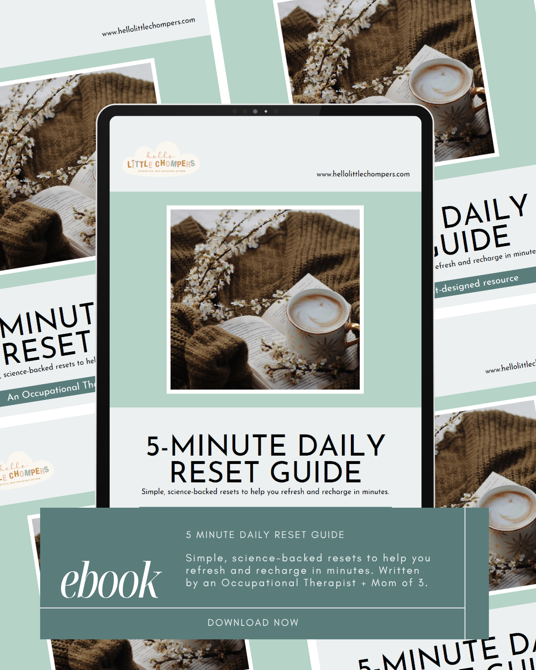 5-Minute Daily Reset Guide - Simple, science-backed resets to help you refresh and recharge in minutes