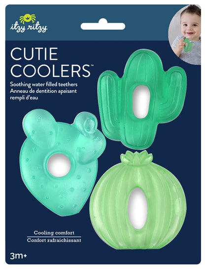 Cutie Coolers - Cacti