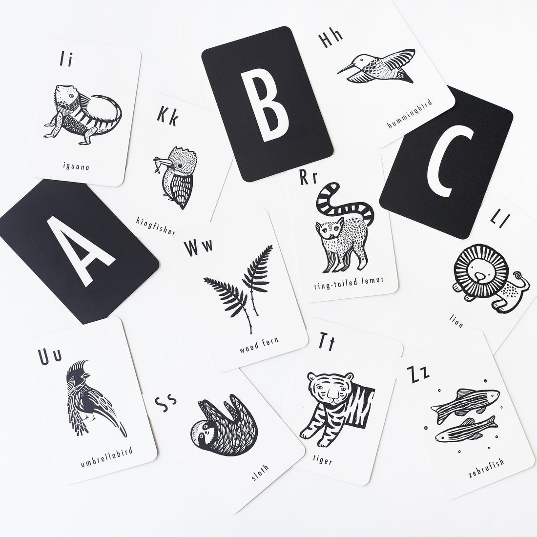 Jungle Alphabet Cards