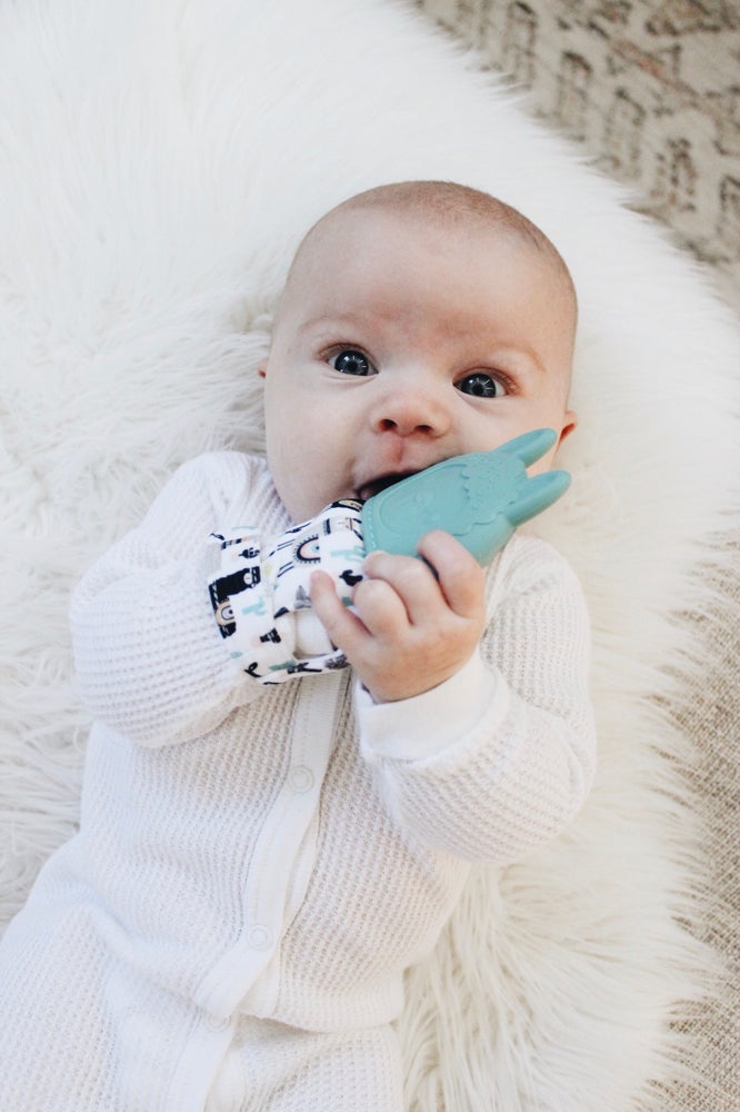 Llama Teething Mitten