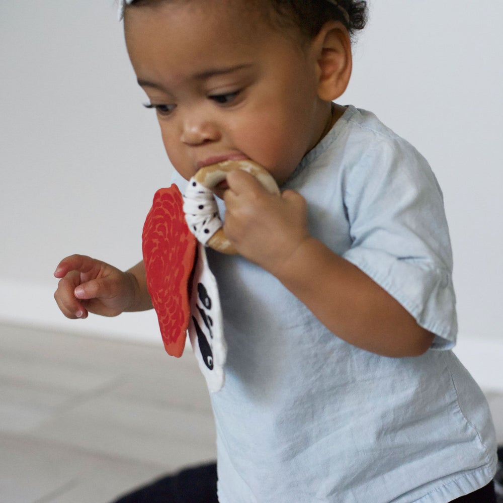 Butterfly Crinkle Teether